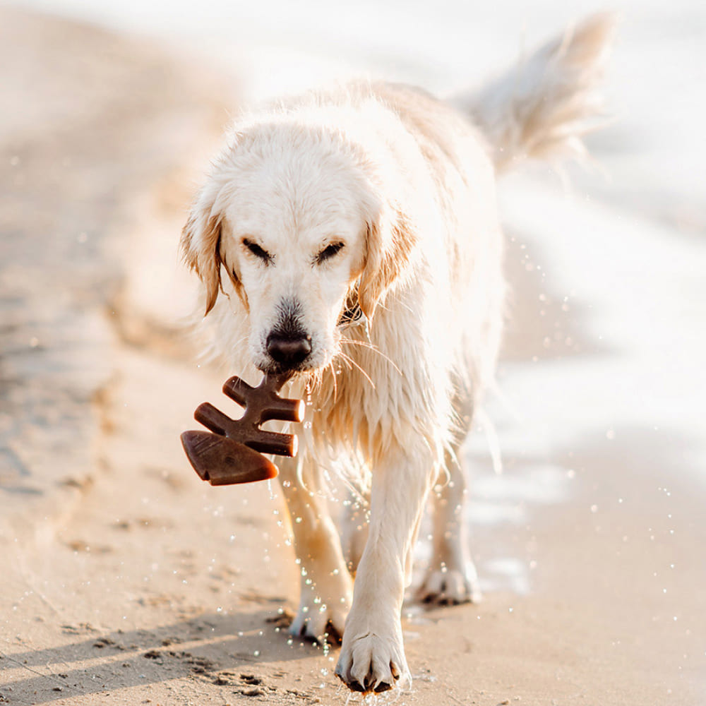 K-Shop Pet Grooming Slicker Brush