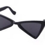 [PET] Triangle Sunglasses