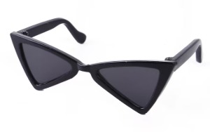 [PET] Triangle Sunglasses